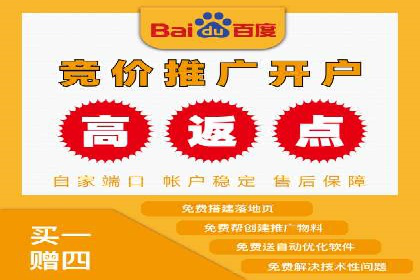 百度竞价包年全解析：成功案例分享